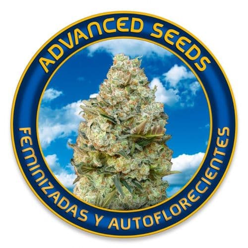 advanced seeds
