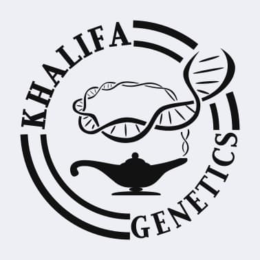 khalifa genetics