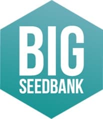 big seedbank