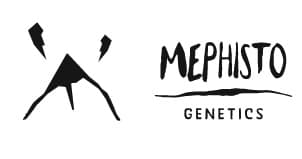 mephisto genetics