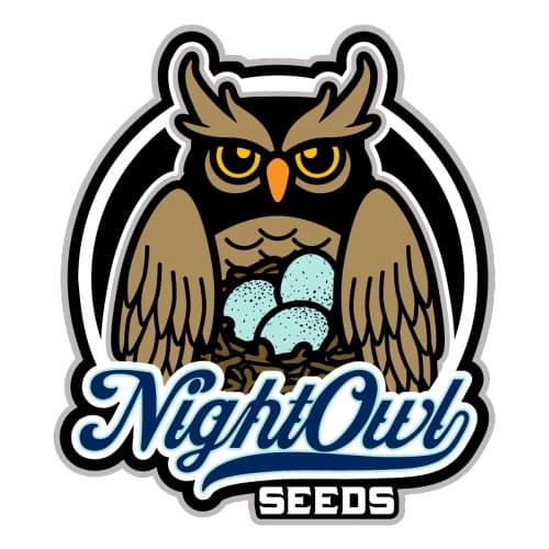 night owl seeds