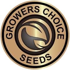 grower choice seeds