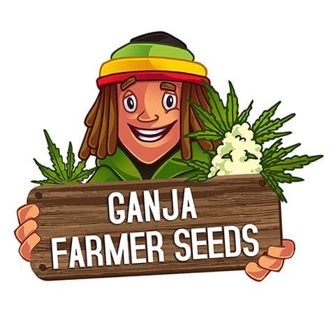 Ganja Farmer Seeds