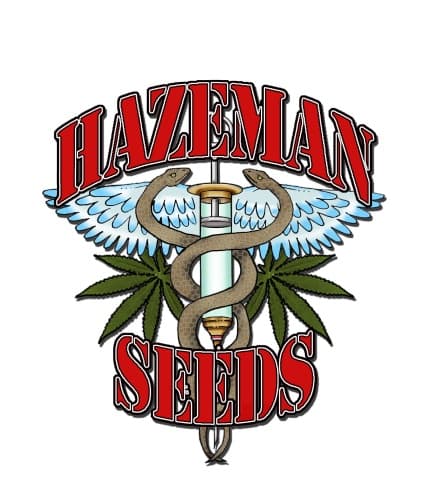 hazeman seeds